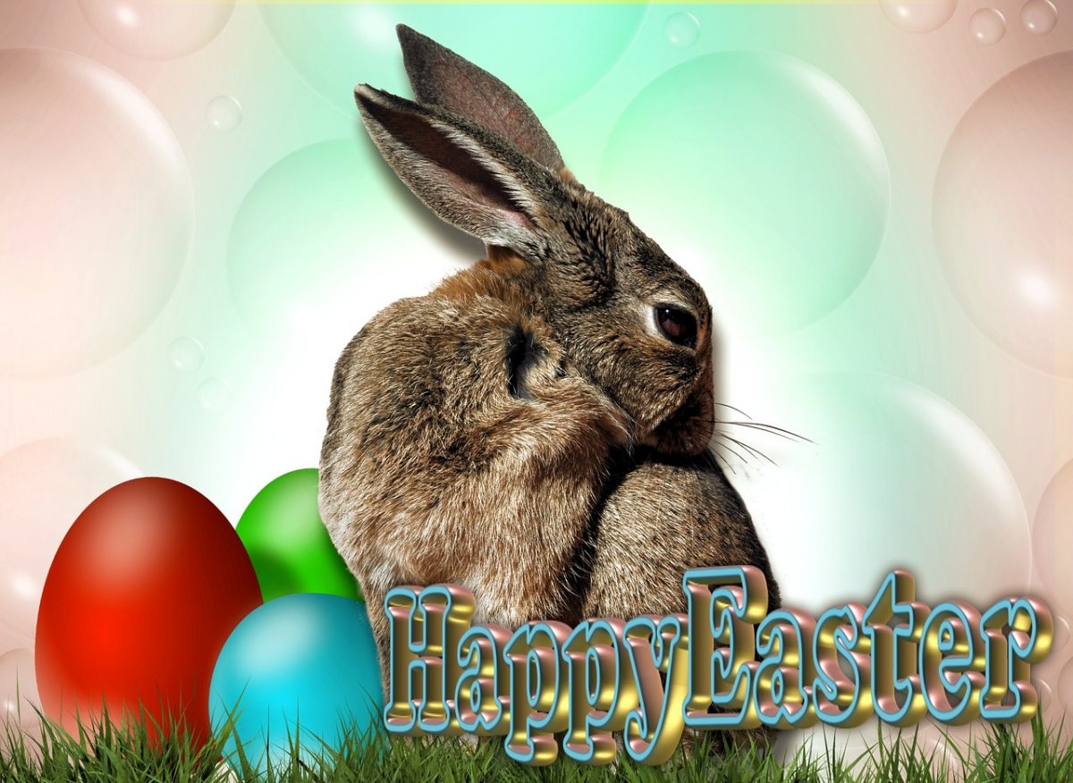 how much chocolate can kill a out easter can kill your pet how much chocolate can kill a out easter can kill your pet